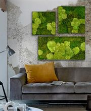 Plantyworks GmbH Bild 6