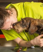 Hundesalon Pet Cut's Bild 1