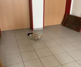 Reinigungs. Und Hausmeisterservice Dembowski Bild 8