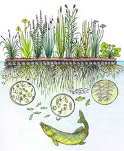 AquaTerra Solutions image 1