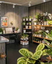 Fleuriot Fleurs, Fleuriste Gare O'Vives Bild 2