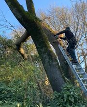 Rs Multiservices image 12