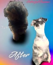 Colorful Canines image 5