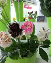 Aux Fleurs de l'Aulne image 16