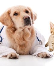 Oakhurst Veterinary Hospital image 2