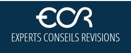 Experts Conseils Révisions