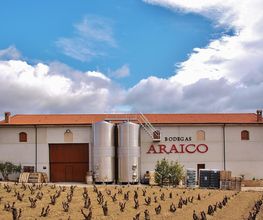 Bodegas araico imagen 4