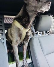 Defensive Tactics Academy e. K. Bild 9