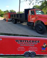 Whitledge Tree Service LLC image 17