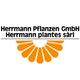 Herrmann Pflanzen GmbH