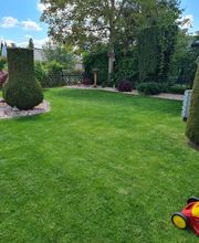 Gartenbau Omlor Ug (haftungsbeschränkt) Bild 4