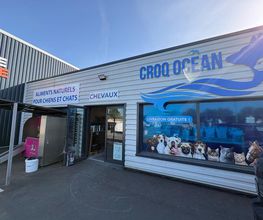 Croq Ocean image 1