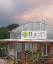 PEPINIERE DE BEL'AIR image 2