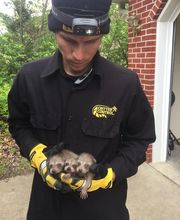 Critter Control of Central Missouri image 8