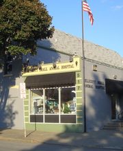 Ellicott Street Animal Hospital image 9