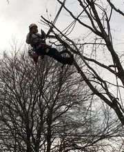 Sos Elagage & Energie Verte image 10