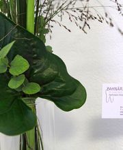 Zahnarztpraxis Dr. Bettina Hartmann-Kirschke AG Bild 5