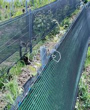 S . C . D . C image 6