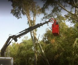 gruas4.PNG