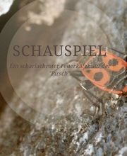 Atelier Waldhuus Hauri GmbH Bild 3