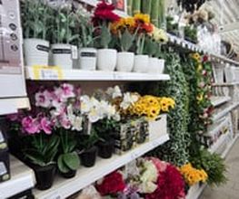 CENTERSHOP Lage