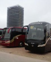 viajes-lince-buses-02.jpg