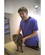 Tierarztpraxis Mauhs Bild 4