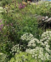 Artenreich Bolinger Gärten AG Bild 4