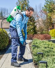 OPC Pest Services - Louisville image 7