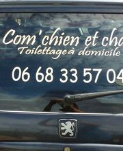 Com Chien Et Chat image 9