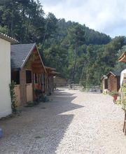 Association Tanka S.O.S Chevaux,Ânes et Poneys. image 3