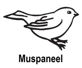 Dealer Muspanelen