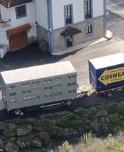 Cosmea Granda S.L. imagen 5