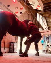 Tiertherapie Rosenthal Bild 3