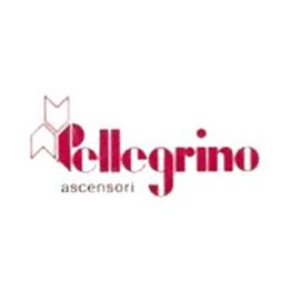 Pellegrino Ascensori logo