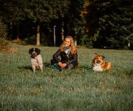 TEAMH Hundeschule Schömberg Bild 15