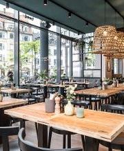 Cotidiano Lago Bild 7