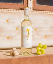 Bodega Bogarve 1915 imagen 9