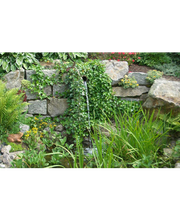 KERN GARTEN Bild 2