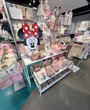 Orchestra MONDEVILLE image 9