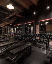 Fitness First Wedel - Hantelbereich