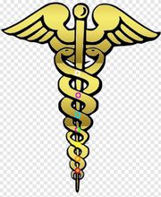 Magali DORIN image 2