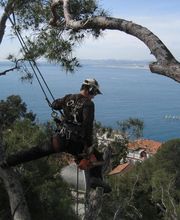 Olivier Nature image 8