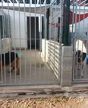 Patchou et Compagnie image 4