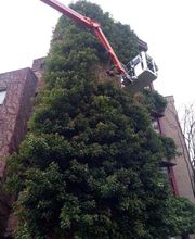 Gärtnerei Ziegler Samuel Bild 5