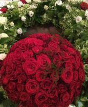 Blumen Kaiser Bild 14