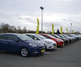 GVO Saumur image 1