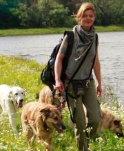 Projekt Geistreich Bild 5