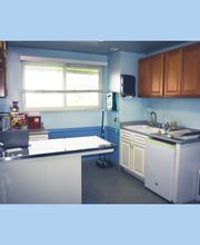 Animal Health Care Denver image 8