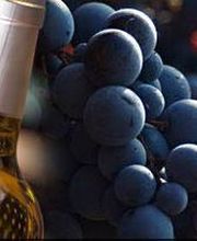 La Cave Le Star image 1